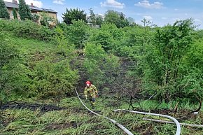 Pożar trawy w Chełmży-10781