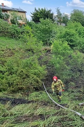 Pożar trawy w Chełmży-10781