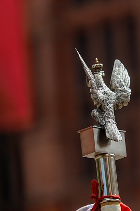 Uroczystości wojskowe na 3 maja-12985
