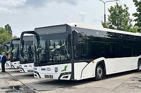 Nowe autobusy hybrydowe-13292