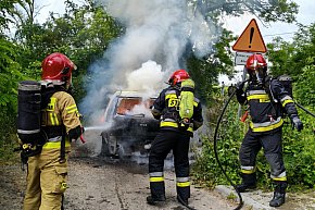 Pożar auta w Zalesiu-13296