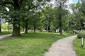 Park Glazja - to tu doszło do próby zabójstwa-13299