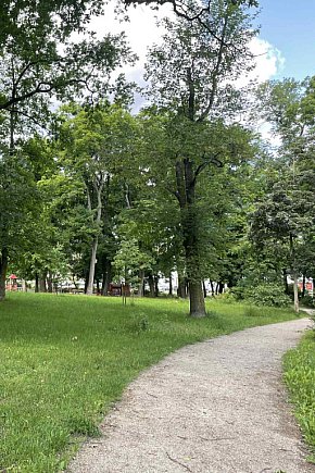Park Glazja - to tu doszło do próby zabójstwa-13299