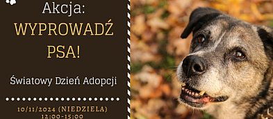 Wyprowadź psa! Światowy Dzień Adopcji-7225