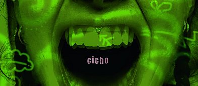 Premiera "Cicho" reż Punch Mama-7727