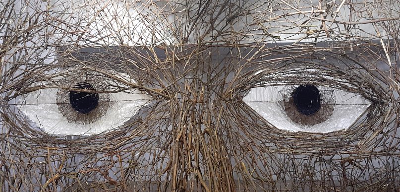 Czy na sztuce da się dobrze zarobić? Młody toruński artysta odpowiada 