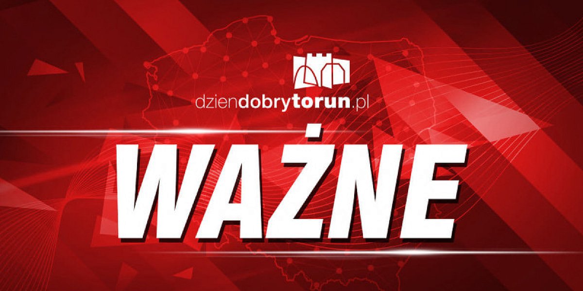 ddtorun.pl