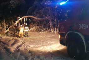 Obfity śnieg "zebrał żniwo". Pełno interwencji strażaków z Torunia i regionu-43647