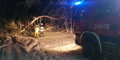 Obfity śnieg "zebrał żniwo". Pełno interwencji strażaków z Torunia i regionu-43647