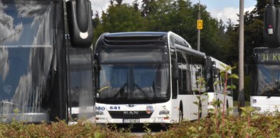 Toruń: Duże zmiany dla kierowców i pasażerów! W końcu otwierają drogę na...-53824