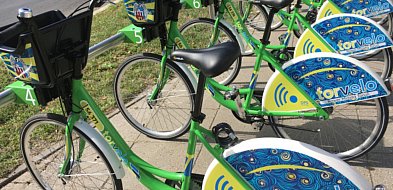 Toruń: Czy rower miejski jest potrzebny? Powstała na ten temat ankieta -55156