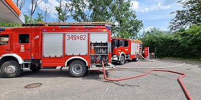 Pożar trawy w Chełmży. Mógł zagrozić pobliskim budynkom-55334