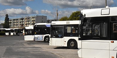 Kolarski szał pod Toruniem. Zmiany w ruchu i autobusy na innych trasach-60765