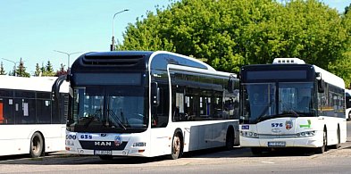 Toruń: Nowa linia autobusowa w mieście. Połączy ze sobą dwa strategiczne punkty-60801