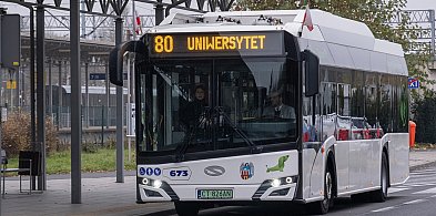 Toruń: Jubileuszowy autobus już kursuje! Będzie z tego pożytek?-61495