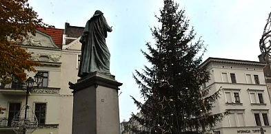 Szok! Już nie na Szerokiej? Miejska choinka z zupełnie nową lokalizacją [WIDEO]-62215