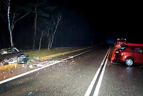 Przerażające sceny na  "starej jedynce". Tak zginął 49-latek-62301