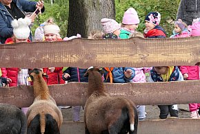 Ferie już tuż tuż! Jak je spędzić w Toruniu? Ogród Zoobotaniczny ma propozycję-63270