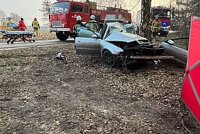 Audi na drzewie, śmigłowiec LPR w akcji. Dwie osoby poszkodowane [FOTO]-65336