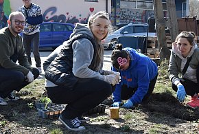 Sercownia posprzątana! Tak Toruń zrobił porządek na Koniuchach [FOTO]-65621