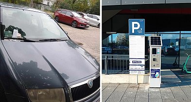 Mandaty za parkowanie – czy trzeba płacić? Obalamy popularne mity-66592