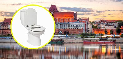 Jesteś w Toruniu i chcesz zrobić siku? Jest do tego aplikacja-66619