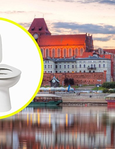 Jesteś w Toruniu i chcesz zrobić siku? Jest do tego aplikacja-66619