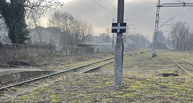 25 lat czekali na ten moment! Pociągi w regionie wracają na stare trasy-66855