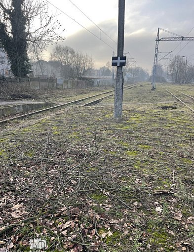 25 lat czekali na ten moment! Pociągi w regionie wracają na stare trasy-66855