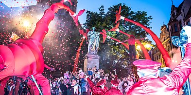 Olbrzymie żyrafy opanowały toruńską starówkę! Spektakl „Les Girafes” [FOTO]-66984