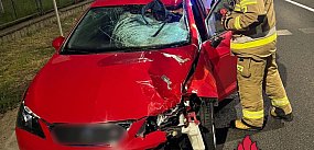 Tragedia na DK80 w Toruniu. Nie żyje pieszy