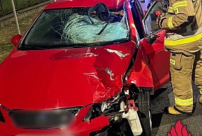 Tragedia na DK80 w Toruniu. Nie żyje pieszy. Młody kierowca zatrzymany [FOTO]-67282