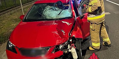 Tragedia na DK80 w Toruniu. Nie żyje pieszy. Młody kierowca zatrzymany [FOTO]-67282