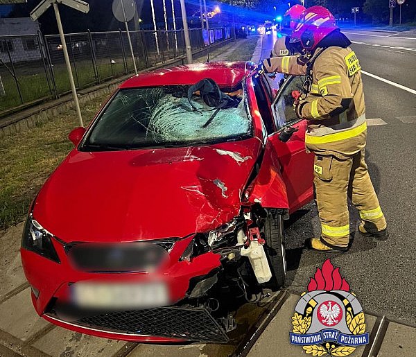Tragedia na DK80 w Toruniu. Nie żyje pieszy. Młody kierowca zatrzymany [FOTO]-67282