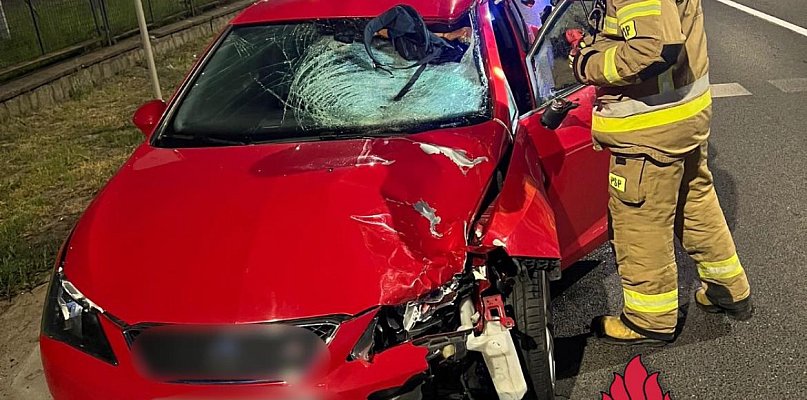 Tragedia na DK80 w Toruniu. Nie żyje pieszy. Młody kierowca zatrzymany [FOTO] - 67282