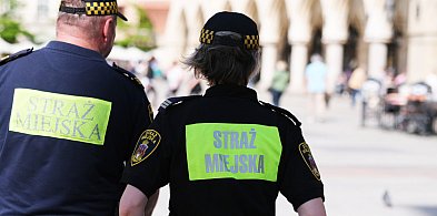 Myślisz, że nikt nie widzi? Toruńska Straż Miejska ujawnia szokujące szczegóły!-67299