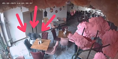 Żenujące sceny w toruńskiej cukierni. "Klient" dosłownie pełzał po podłodze-67548