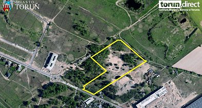 Wygląda jak zwykły nieużytek. Kosztuje jak luksusowy apartament-67625