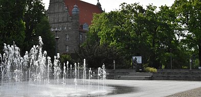 Urząd przypomina: Widzisz to latem w mieście? Oglądaj z daleka!-67902