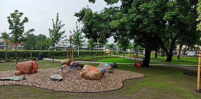 Toruń: W ukraińskim stylu. Otworzono nowy park kieszonkowy w mieście-68097