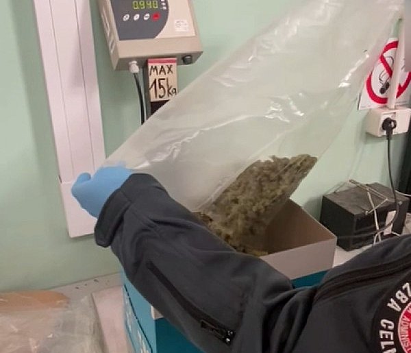 Marihuana między pomarańczami. Przesyłka z Hiszpanii przechwycona-68282