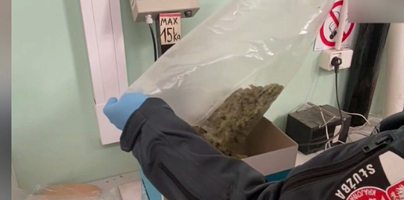 Marihuana między pomarańczami. Przesyłka z Hiszpanii przechwycona - 68282