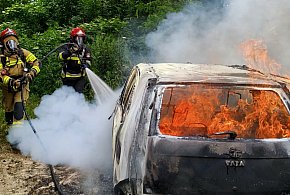 Pożar rzadko spotykanego auta. Groźna sytuacja pod Toruniem [FOTO]-68319