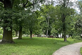 Toruń: Park Glazja - to tu doszło do próby zabójstwa [FOTO]-68344