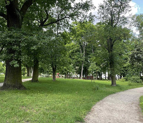 Toruń: Park Glazja - to tu doszło do próby zabójstwa [FOTO]-68344