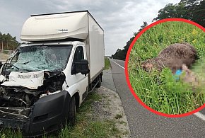 Wypadek na krajówce pod Toruniem. Wygląda to strasznie. Mamy zdjęcia [+18]-68425