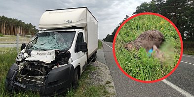 Wypadek na krajówce pod Toruniem [+18]-68425