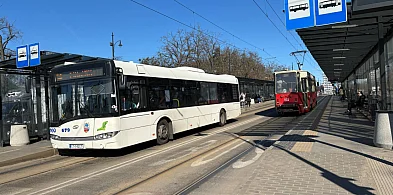 WAŻNE: Zmiany w komunikacji podczas Dni Torunia! Sprawdź nowy rozkład-68479