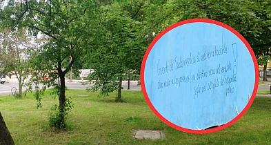 Tajemniczy napis przy Parku Glazja. To wiadomość dla Wenezuelczyka [FOTO]-68489