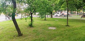 Prokuratura prostuje szokujące informacje z sieci